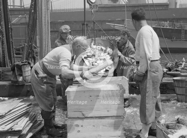 Dock stevedores packing and icing fish at the Fulton fish market, New York, 1943. Creator: Gordon Parks.