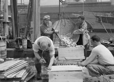 Dock stevedores packing and icing fish at the Fulton fish market, New York, 1943. Creator: Gordon Parks