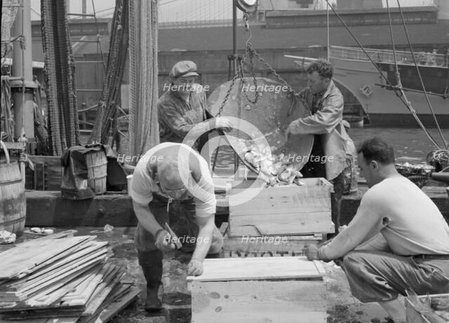 Dock stevedores packing and icing fish at the Fulton fish market, New York, 1943. Creator: Gordon Parks.