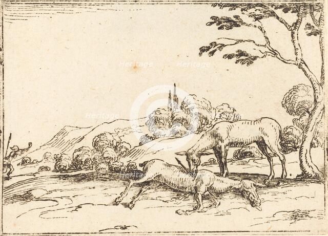 Doe Mourning her Foal. Creator: Jacques Callot.