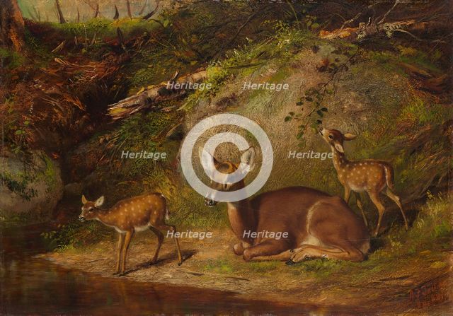 Doe and Two Fawns, 1882. Creator: Arthur Fitzwilliam Tait.