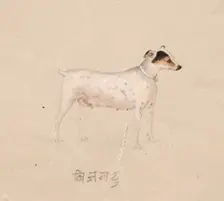 Dog, 1800s. Creator: Unknown