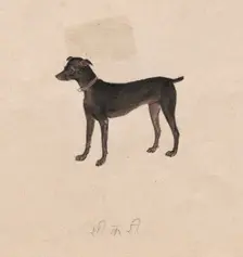 Dog, 1800s. Creator: Unknown
