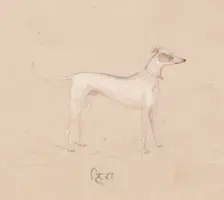 Dog, 1800s. Creator: Unknown