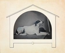 [Dog], 1841-49. Creator: Louis-Auguste Bisson