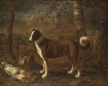 Dog and a Birch Log. Creator: Govert Dircksz Camphuysen