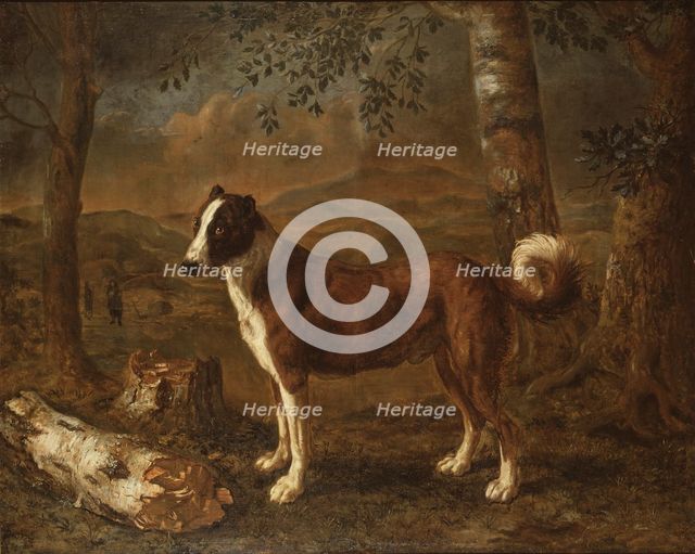 Dog and a Birch Log. Creator: Govert Dircksz Camphuysen.