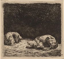 Dog and Cat. Creator: Karel Du Jardin