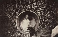 Dog and Puppy in Barrel, late 1870's. Creator: Auguste Giraudon's Artist (French)