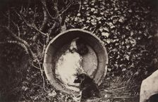 Dog and Puppy in Barrel, late 1870's. Creator: Auguste Giraudon's Artist (French)