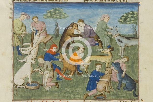 Dog care. Miniature Livre de la chasse by Gaston III, comte de Foix, 15th century. Creator: Anonymous master.
