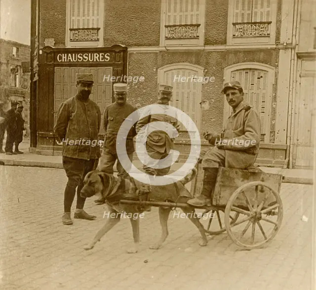 Dog-cart, France, c1914-c1918. Artist: Unknown.