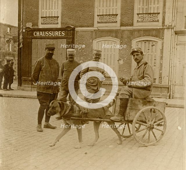 Dog-cart, France, c1914-c1918. Artist: Unknown.