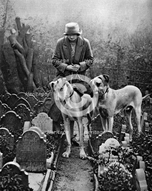 Dog cemetery, Victoria Gate, Bayswater, London, 1926-1927. Artist: Unknown