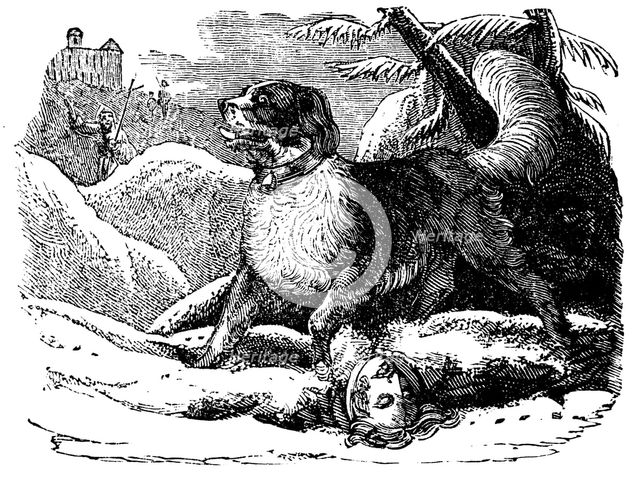 Dog from the Hospice of St Bernard finding a traveller in the snow, c1840. Artist: Unknown
