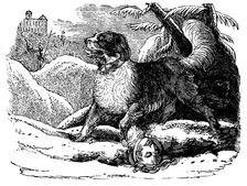 Dog from the Hospice of St Bernard finding a traveller in the snow, c1840