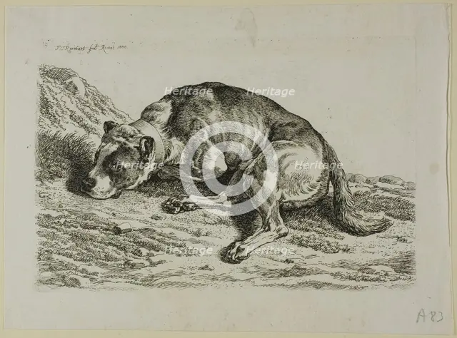 Dog Laying Down, from from Die Zweite Thierfolge, 1799/1803. Creator: Johann Christian Reinhart.