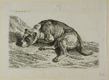 Dog Laying Down, from from Die Zweite Thierfolge, 1799/1803. Creator: Johann Christian Reinhart
