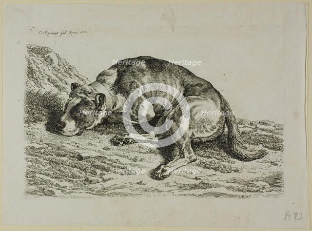 Dog Laying Down, from from Die Zweite Thierfolge, 1799/1803. Creator: Johann Christian Reinhart.