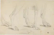 Dog Paws, n.d. Creator: Sawrey Gilpin