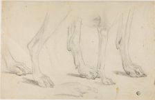 Dog Paws, n.d. Creator: Sawrey Gilpin