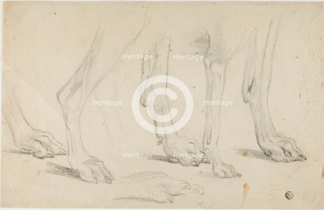 Dog Paws, n.d. Creator: Sawrey Gilpin.
