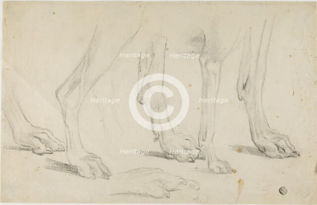 Dog Paws, n.d. Creator: Sawrey Gilpin.