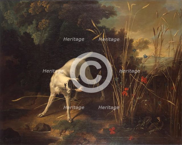 Dog Pointing a Partridge, 1725. Creator: Jean-Baptiste Oudry.