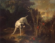 Dog Pointing a Partridge, 1725. Creator: Jean-Baptiste Oudry