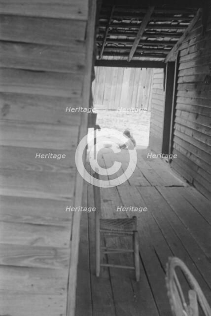 Dog run of Floyd Burroughs' home. Hale County, Alabama, 1936. Creator: Walker Evans.