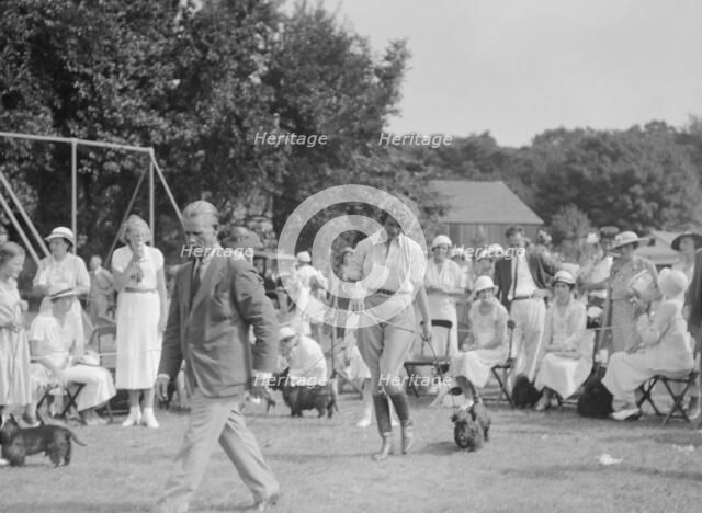 Dog show, East Hampton, Long Island, between 1933 and 1942. Creator: Arnold Genthe.