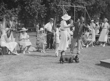 Dog show, East Hampton, Long Island, between 1933 and 1942. Creator: Arnold Genthe