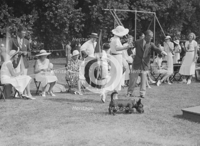 Dog show, East Hampton, Long Island, between 1933 and 1942. Creator: Arnold Genthe.