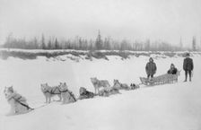 Dog sled team, between c1900 and 1927. Creator: Unknown