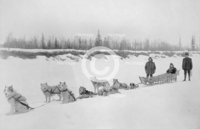 Dog sled team, between c1900 and 1927. Creator: Unknown.