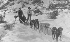 Dog sled team, between c1900 and c1930. Creator: Unknown