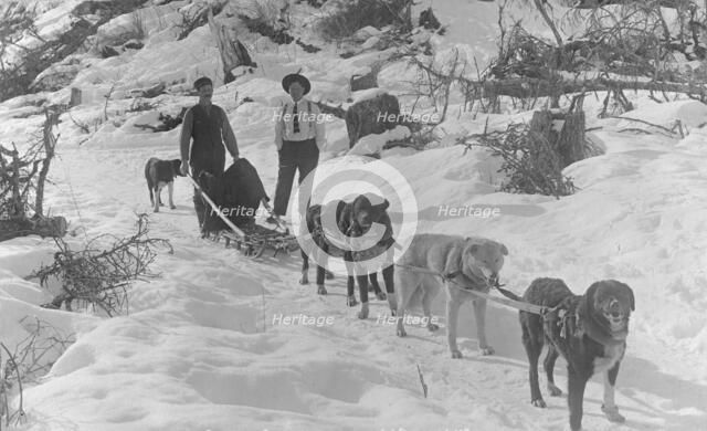Dog sled team, between c1900 and c1930. Creator: Unknown.