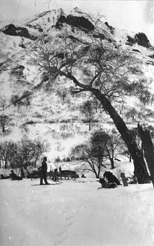 Dog sleds against the backdrop of the Kamchatka landscape, 1910-1929. Creator: Ivan Emelianovich Larin
