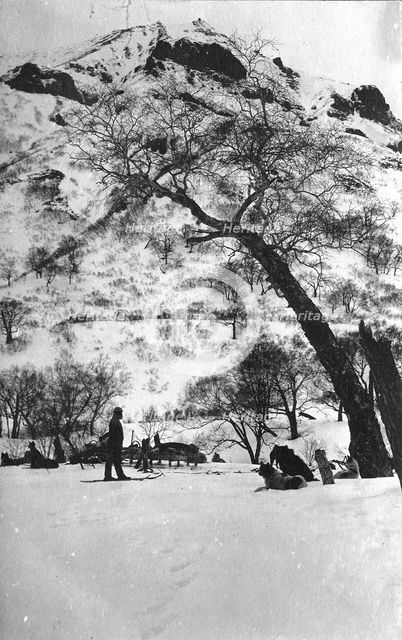 Dog sleds against the backdrop of the Kamchatka landscape, 1910-1929. Creator: Ivan Emelianovich Larin.