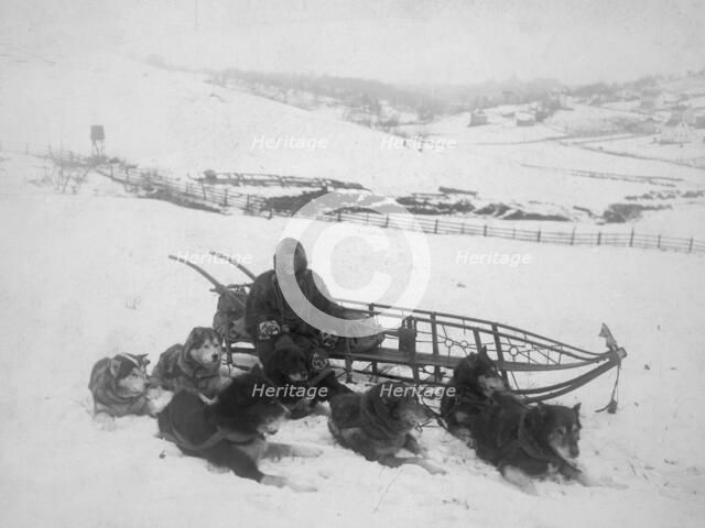 Dog team carrying mail, between c1900 and 1923. Creator: Unknown.