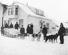 Dog team and Dr. Sutherland's party ready to leave Fairbanks for Kantishna, between c1900 and 1927. Creator: Unknown