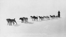 Dog team at Seventh All Alaska Sweepstakes, April 13, 1914. Creator: Unknown