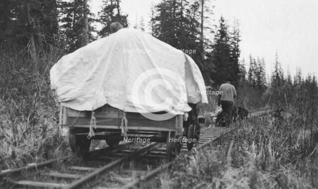 Dog team pulling railroad cart, between c1900 and c1930. Creator: Unknown.