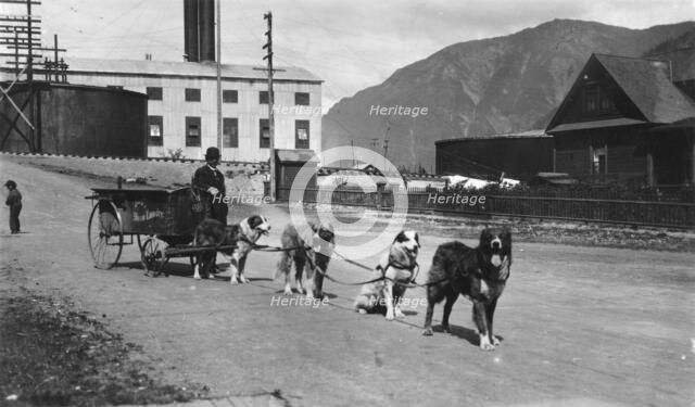 Dog team used to deliver laundry, between c1900 and 1923. Creator: Unknown.