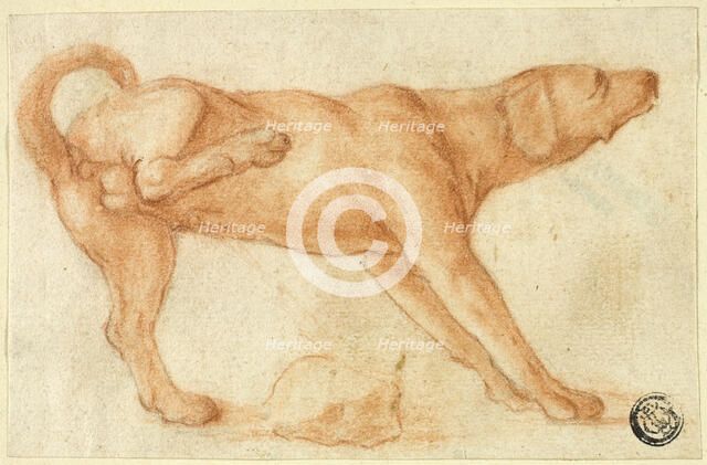 Dog Urinating on Rock, 1695-1721. Creator: Dirk Valkenburg.