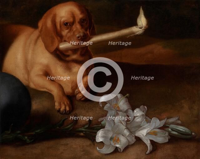 Dog with a Candle and Lilies, about 1660s. Creator: Juan de Pareja.