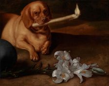 Dog with a Candle and Lilies, about 1660s. Creator: Juan de Pareja