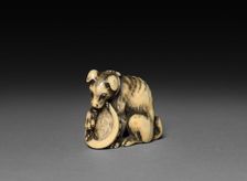 Dog with Shell, 18th century. Creator: Unknown