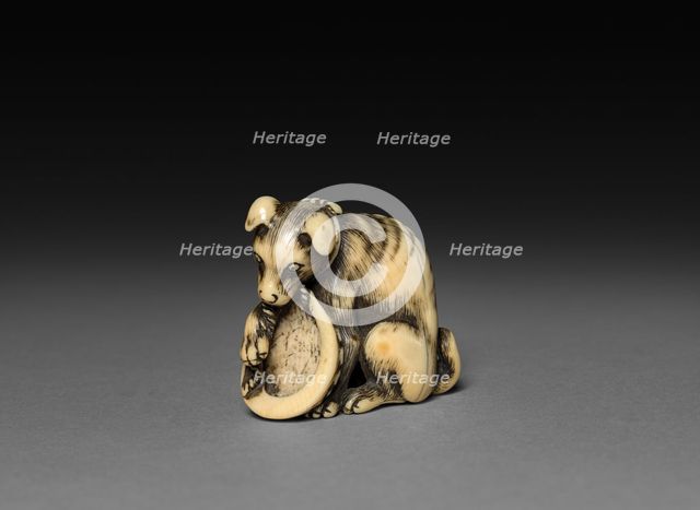 Dog with Shell, 18th century. Creator: Unknown.