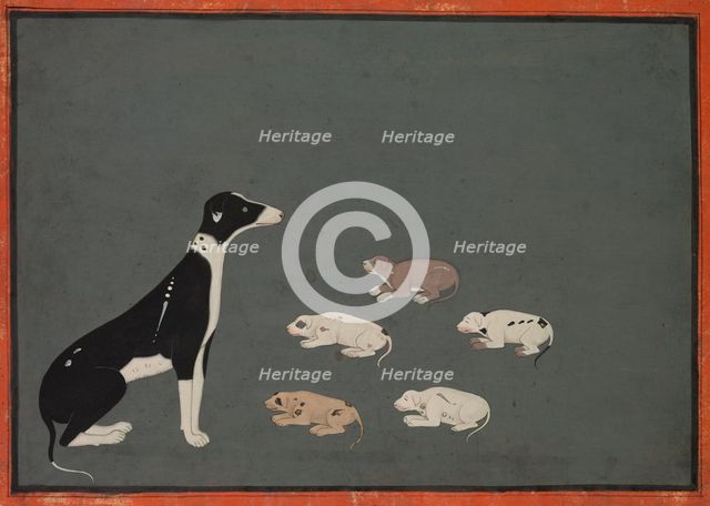 Dog with pups, c. 1780. Creator: Unknown.